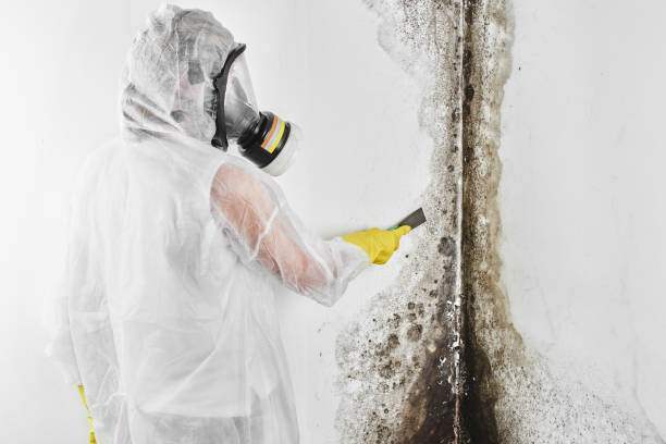 Best Crawl Space Mold Remediation in Aptos Hills Larkin Valley, CA